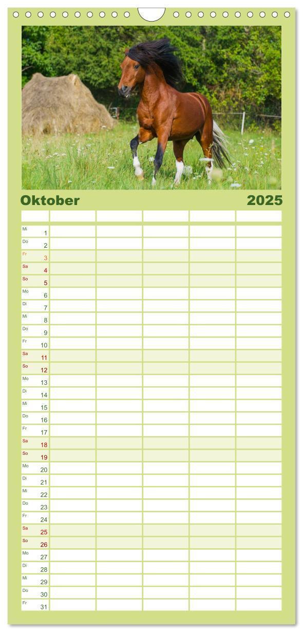 Bild: 9783457117651 | Familienplaner 2025 - Welt der Pferde mit 5 Spalten (Wandkalender,...