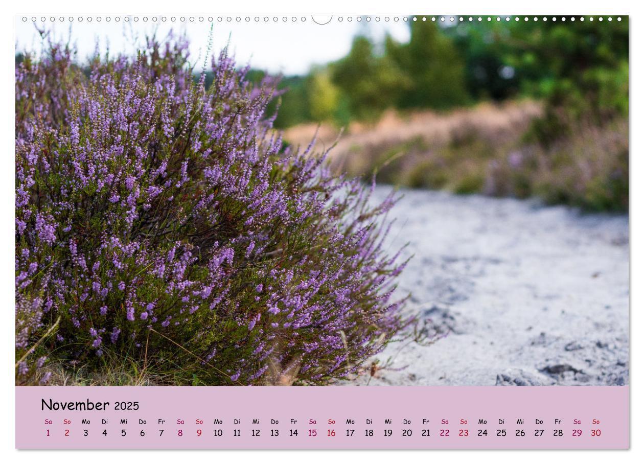 Bild: 9783435029747 | Lüneburger Heide Wege (Wandkalender 2025 DIN A2 quer), CALVENDO...