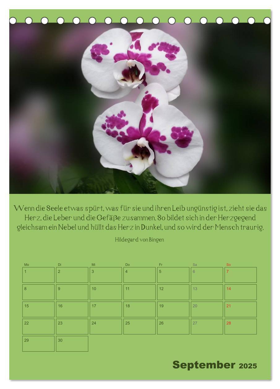 Bild: 9783457059135 | Erkenntnis und Weisheit - Hildegard von Bingen (Tischkalender 2025...