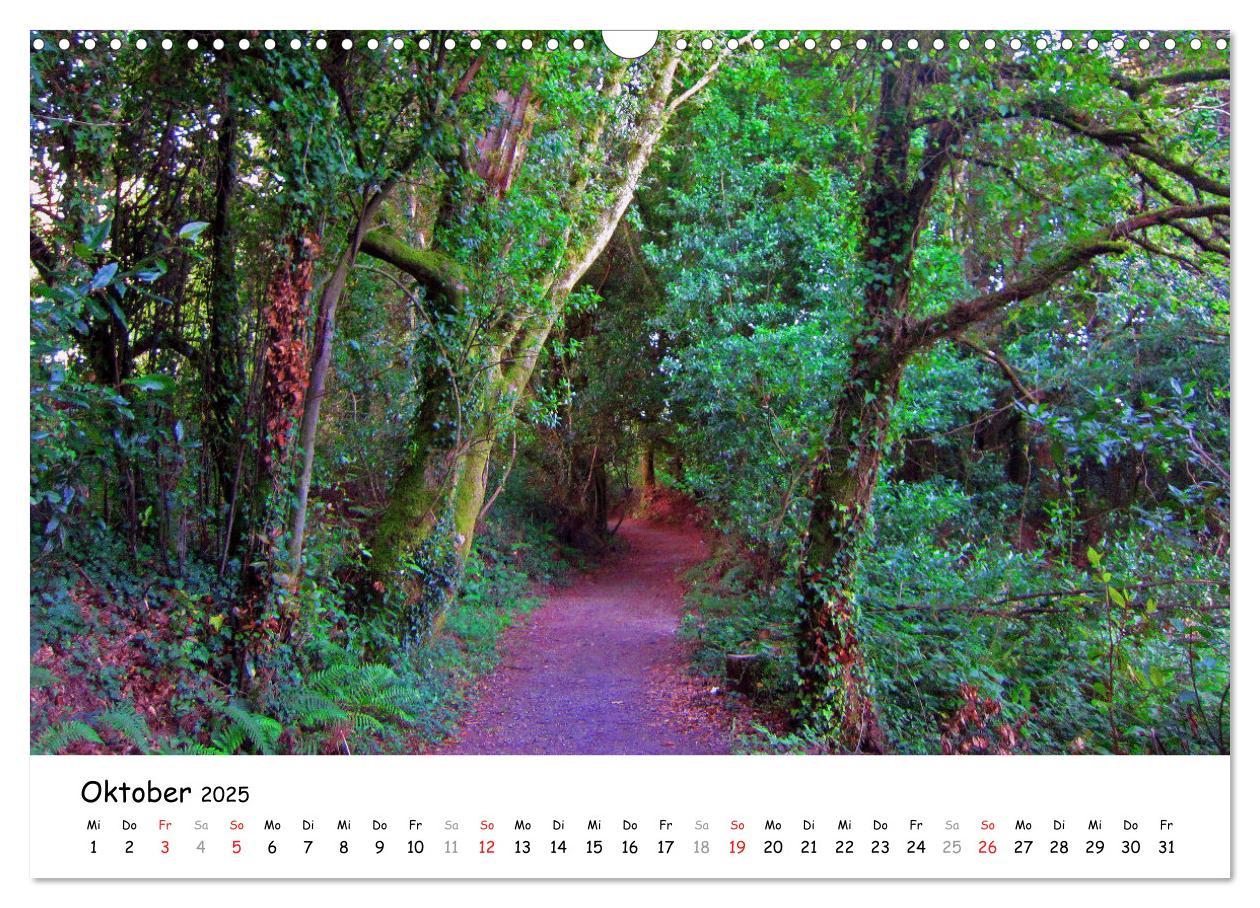 Bild: 9783435193295 | Jakobsweg - Camino Ingles (Wandkalender 2025 DIN A3 quer), CALVENDO...