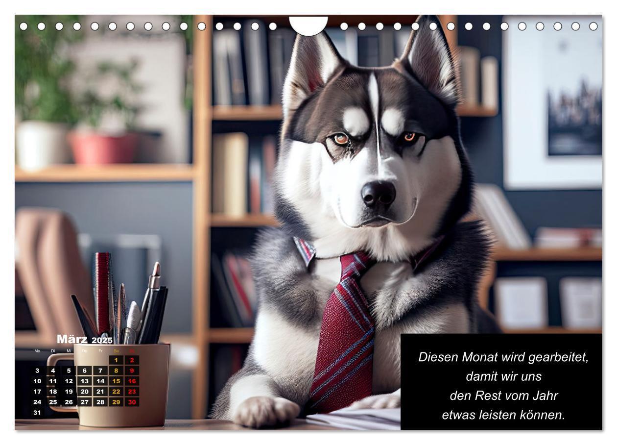 Bild: 9783435639878 | Der tierisch lustige Husky Kalender (Wandkalender 2025 DIN A4...