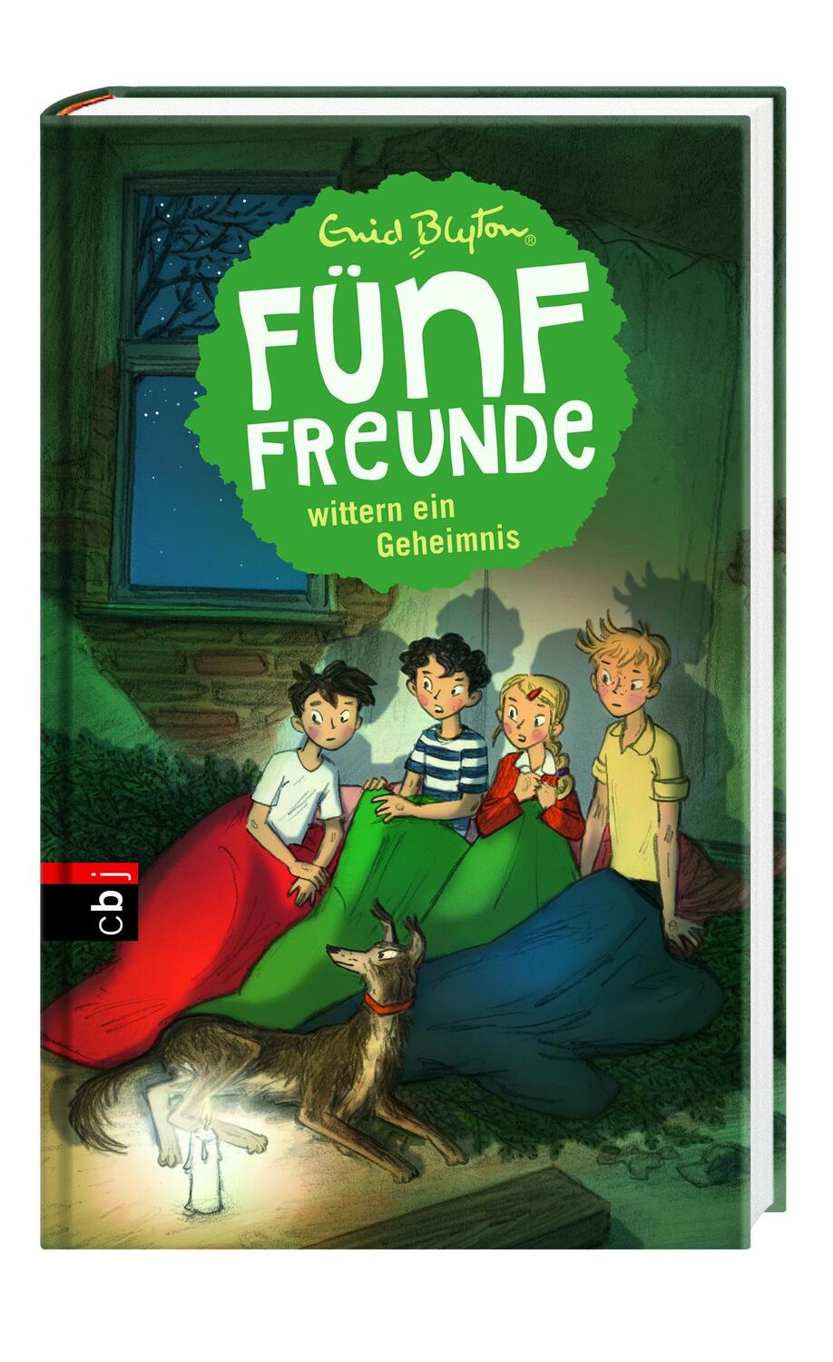 Bild: 9783570172100 | Fünf Freunde wittern ein Geheimnis | Enid Blyton | Buch | Fünf Freunde