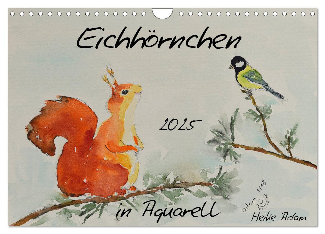 Cover: 9783435415663 | Eichhörnchen in Aquarell (Wandkalender 2025 DIN A4 quer), CALVENDO...