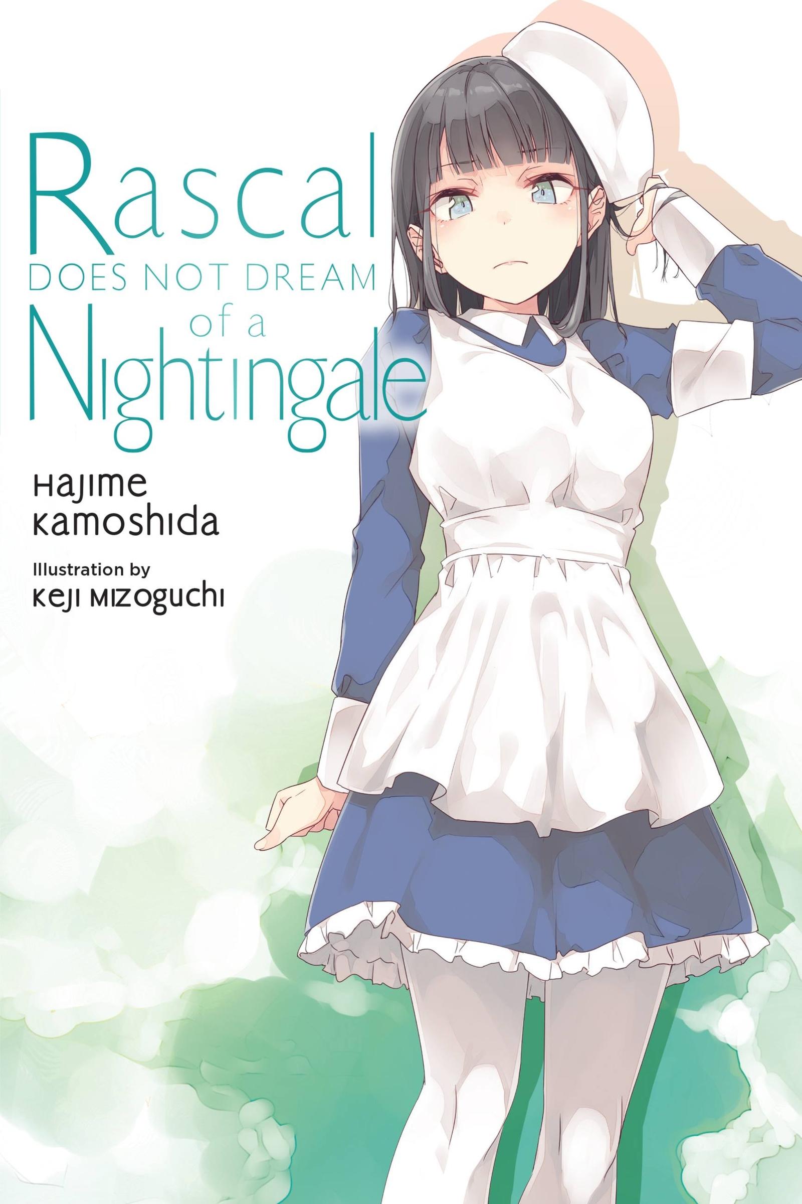 Cover: 9781975343507 | Rascal Does Not Dream of a Nightingale (light novel) | Taschenbuch