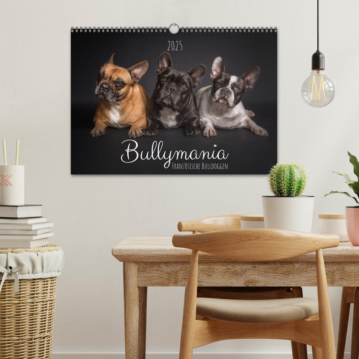 Bild: 9783435030927 | Bullymania - Französische Bulldoggen (Wandkalender 2025 DIN A3...