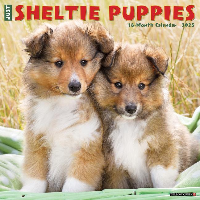 Cover: 9781549244834 | Just Sheltie Puppies 2025 12 X 12 Wall Calendar | Willow Creek Press