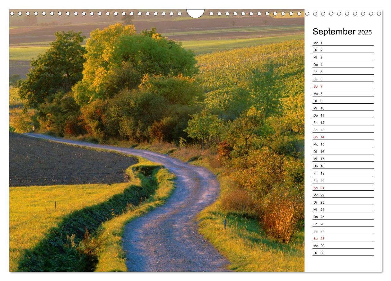 Bild: 9783435542062 | DER STEIGERWALD - Impressionen einer Landschaft (Wandkalender 2025...