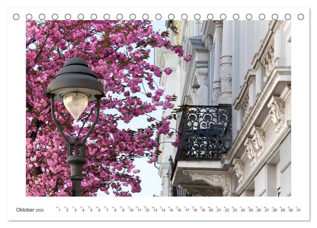 Bild: 9783457127889 | Japanische Kirschblüte in Bonn (Tischkalender 2025 DIN A5 quer),...