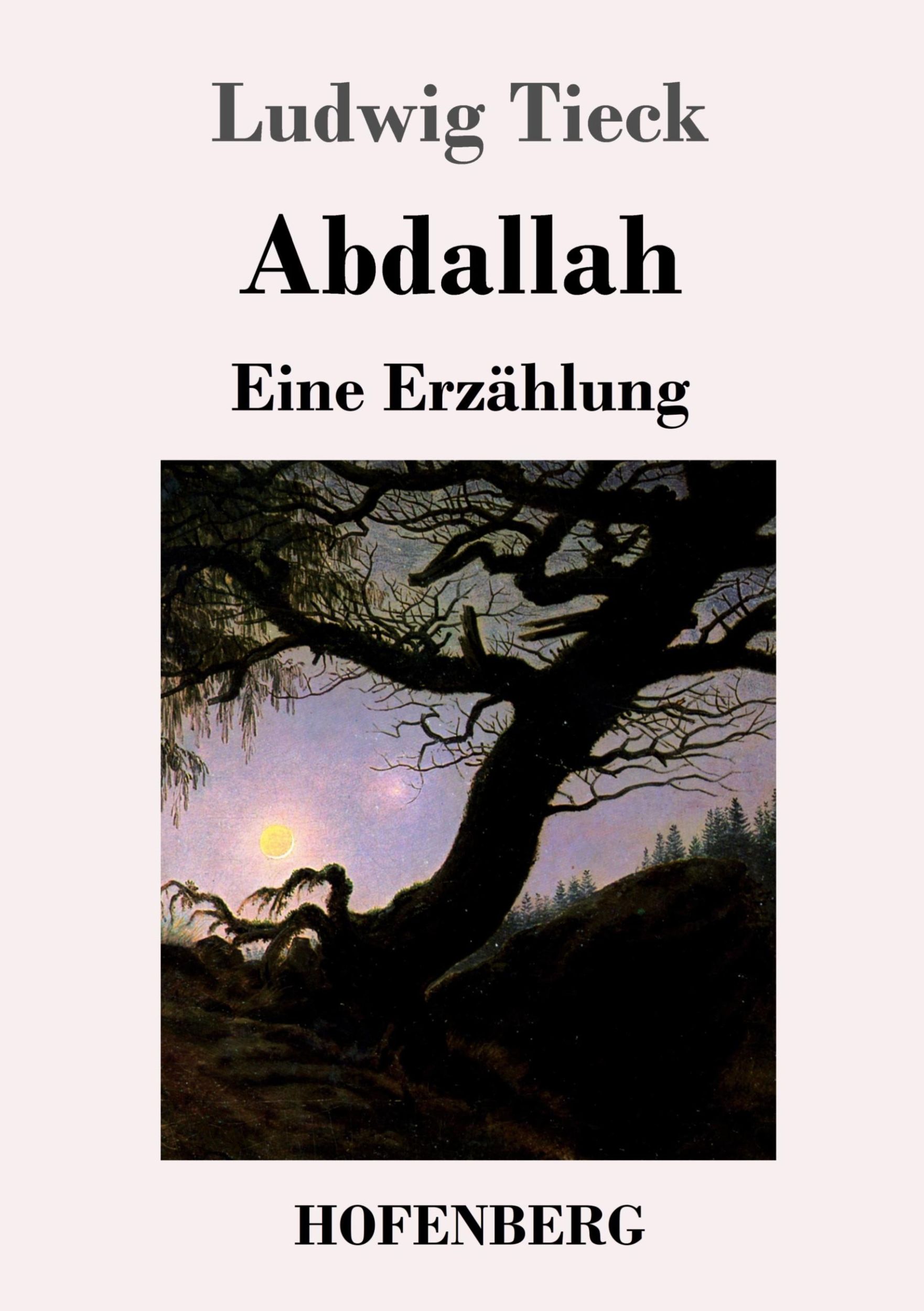 Cover: 9783843047814 | Abdallah | Eine Erzählung | Ludwig Tieck | Taschenbuch | Paperback