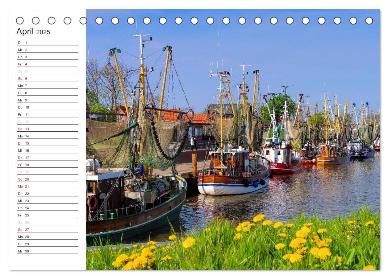 Bild: 9783435542680 | Ostfriesland - zwischen Watt und Moor (Tischkalender 2025 DIN A5...