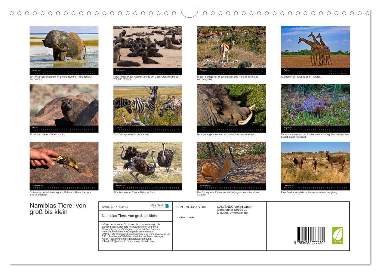 Bild: 9783435777280 | Namibias Tiere: von groß bis klein (Wandkalender 2025 DIN A3 quer),...