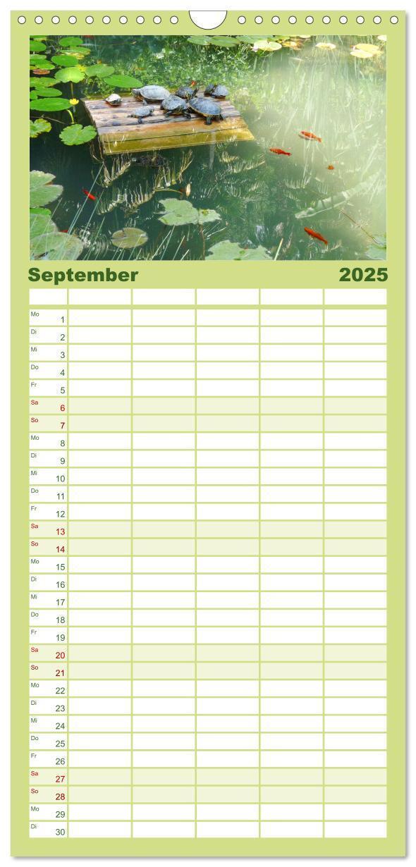 Bild: 9783457100844 | Familienplaner 2025 - Sanfte Natur mit 5 Spalten (Wandkalender, 21...