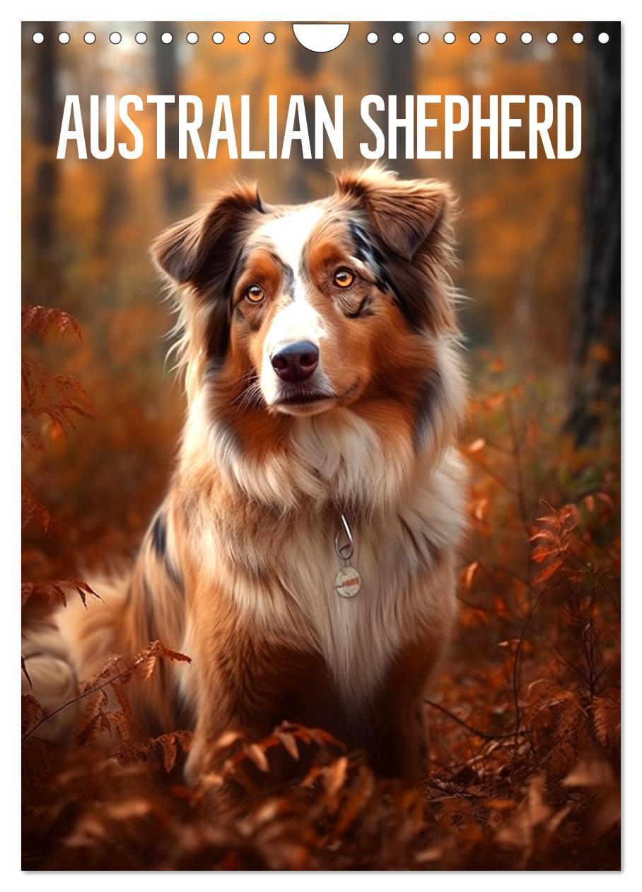 Cover: 9783435872602 | Australian Shepherd (Wandkalender 2025 DIN A4 hoch), CALVENDO...