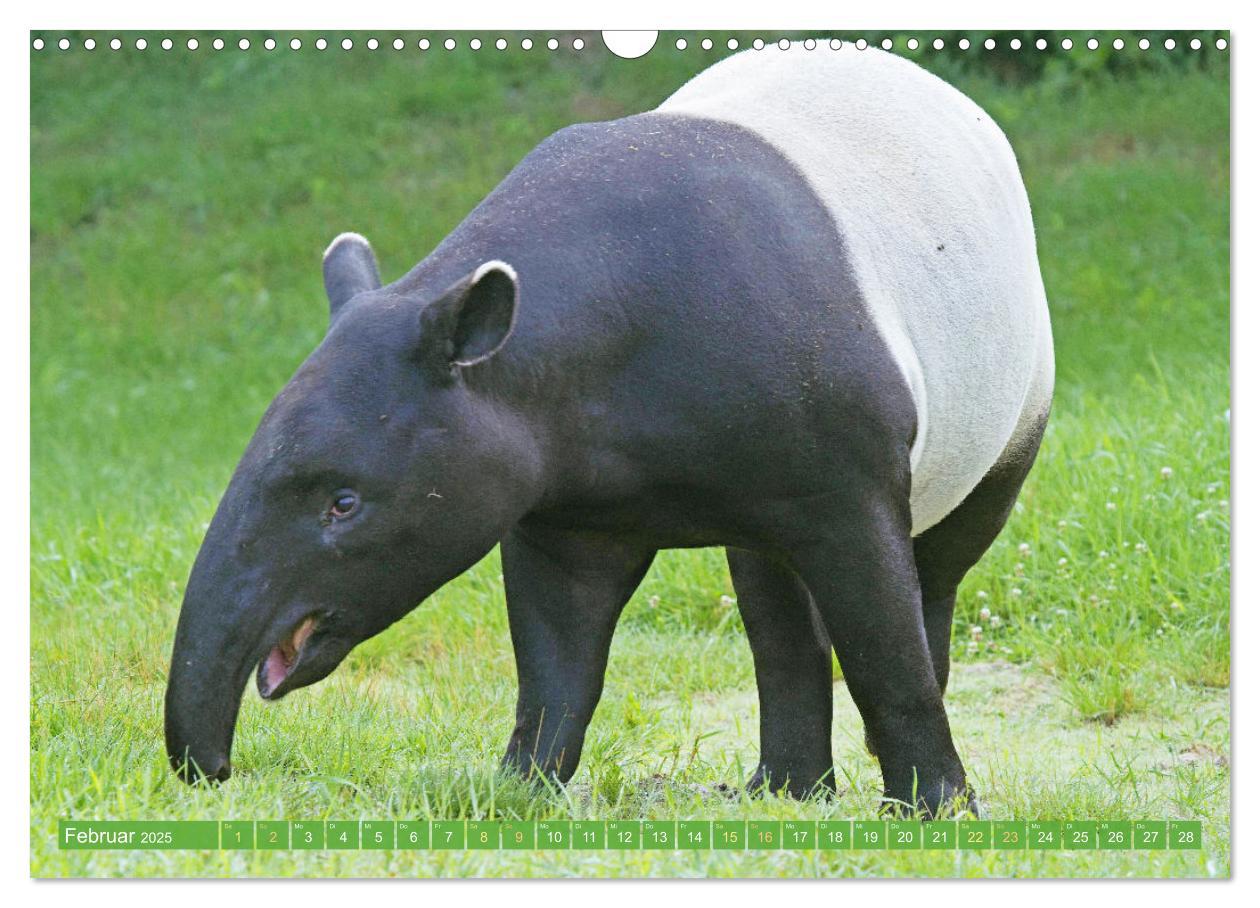 Bild: 9783457140390 | Leben im Dschungel: Der Regenwald ist ein Paradies für Tiere...