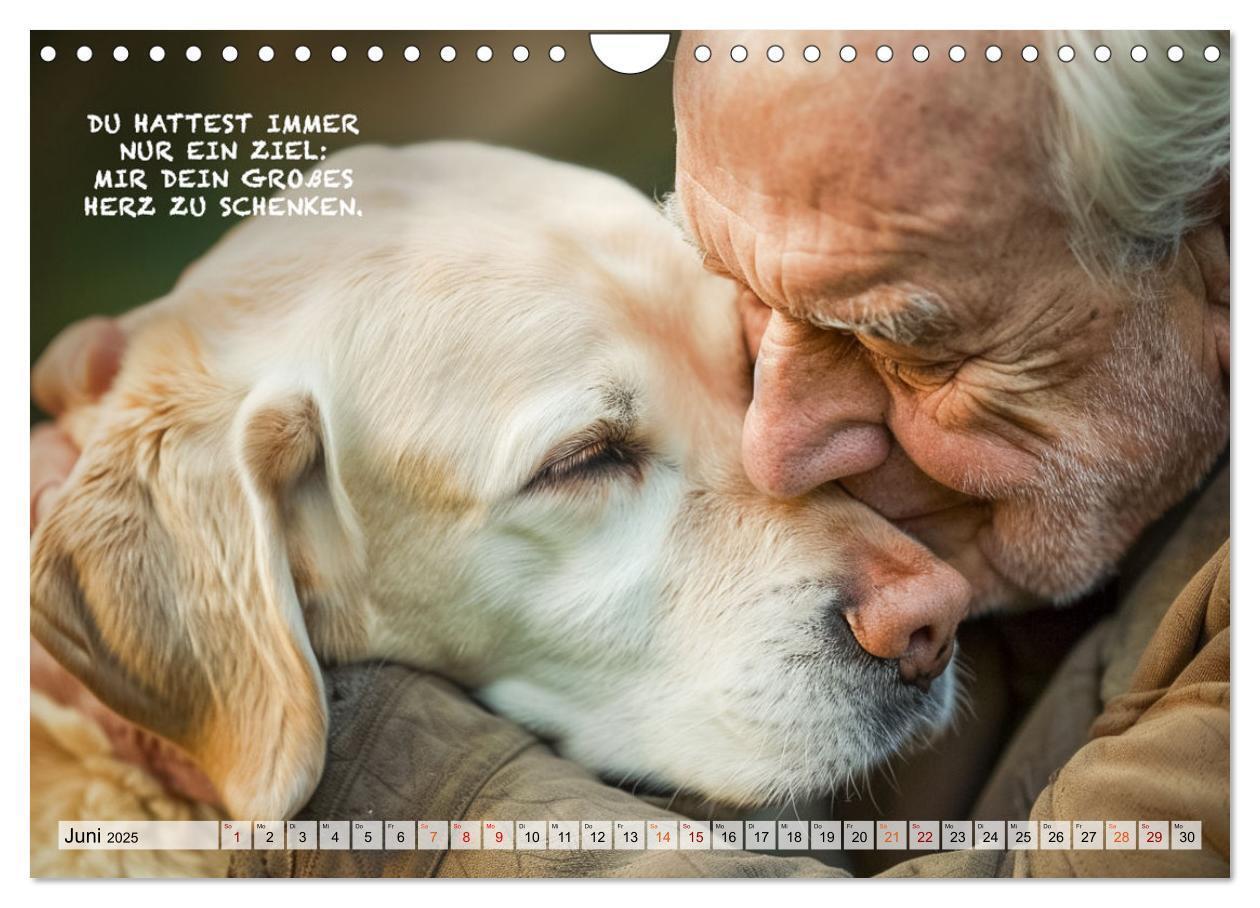 Bild: 9783457165539 | Hunde und berührende Sprüche (Wandkalender 2025 DIN A4 quer),...