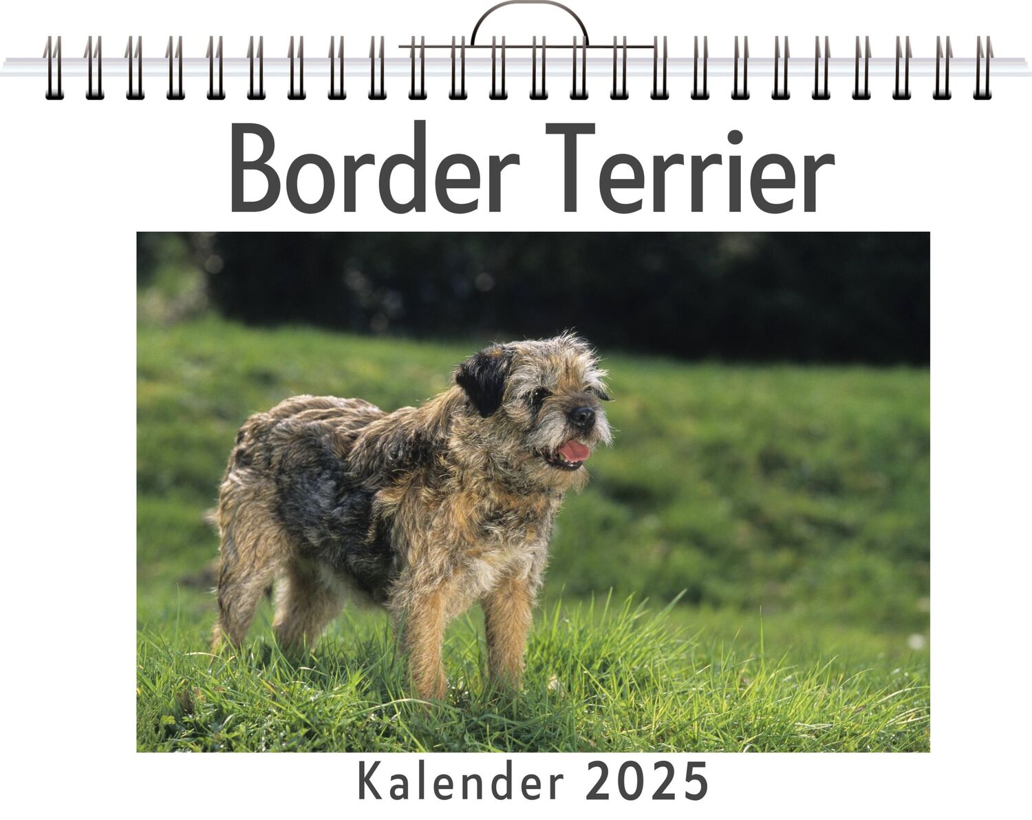 Cover: 9783759132826 | Border Terrier | Alexander Peters | Kalender | Kalender | 14 S.