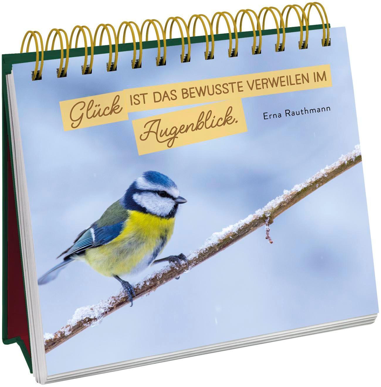 Bild: 9783848501762 | Besinnliche Weihnachtswünsche für dich | Groh Verlag | Taschenbuch