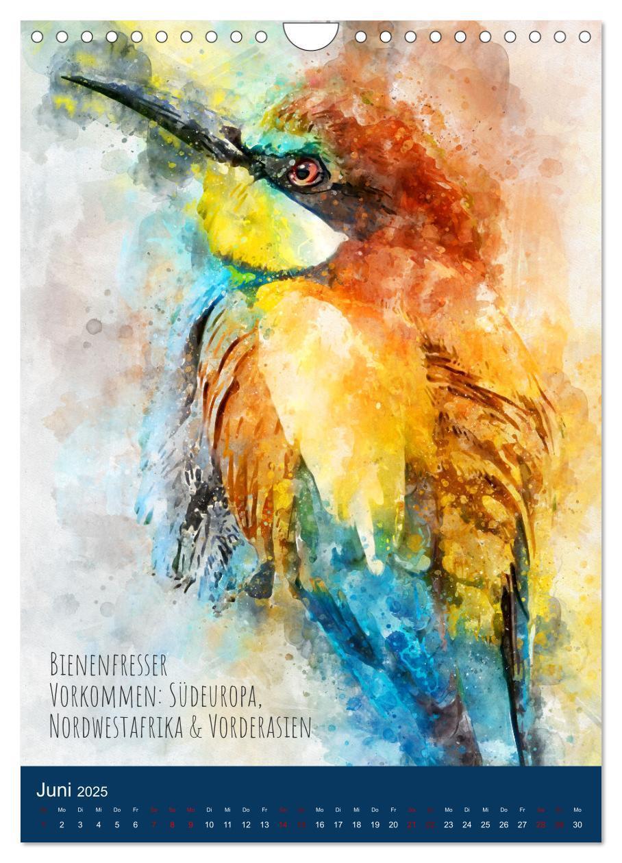 Bild: 9783435922826 | Exotische Vögel - Die Schönsten der Welt in Aquarell (Wandkalender...