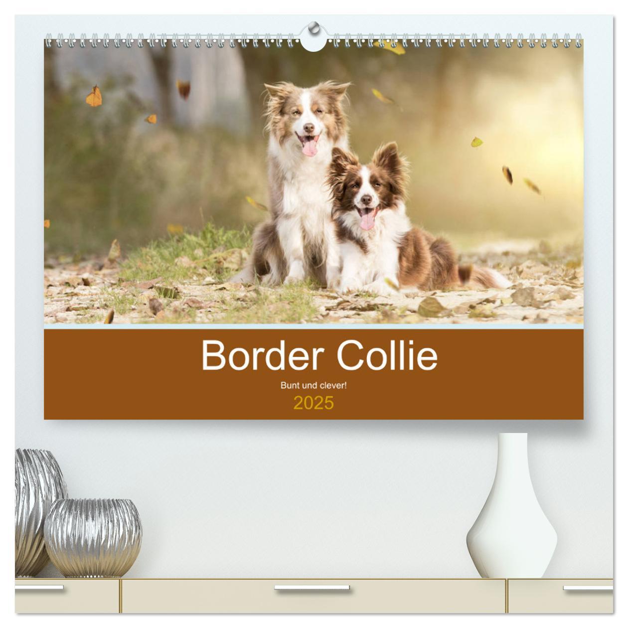 Cover: 9783435188130 | Border Collie - Bunt und clever! (hochwertiger Premium Wandkalender...