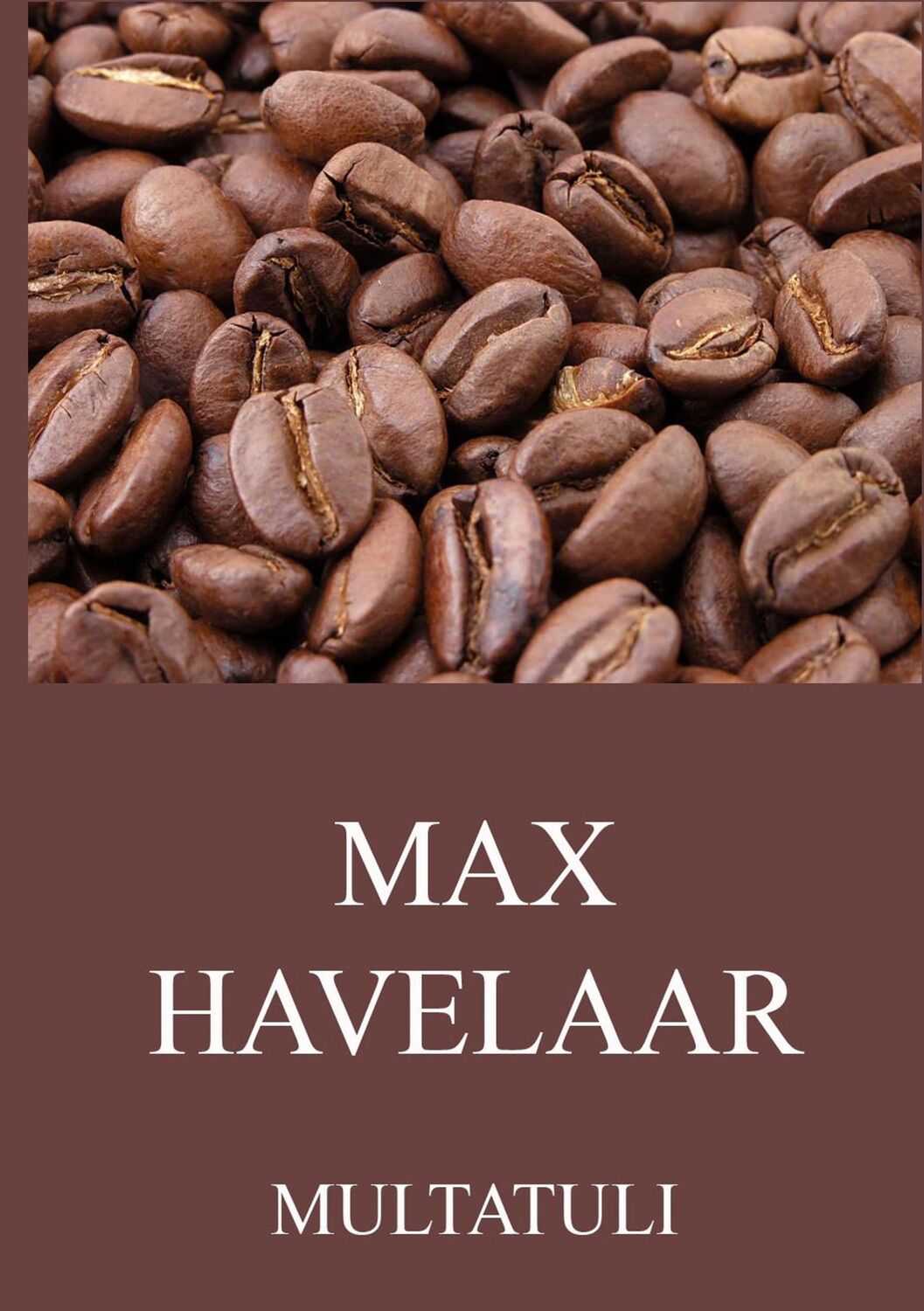 Cover: 9783849684099 | Max Havelaar | Multatuli | Taschenbuch | Paperback | 244 S. | Deutsch