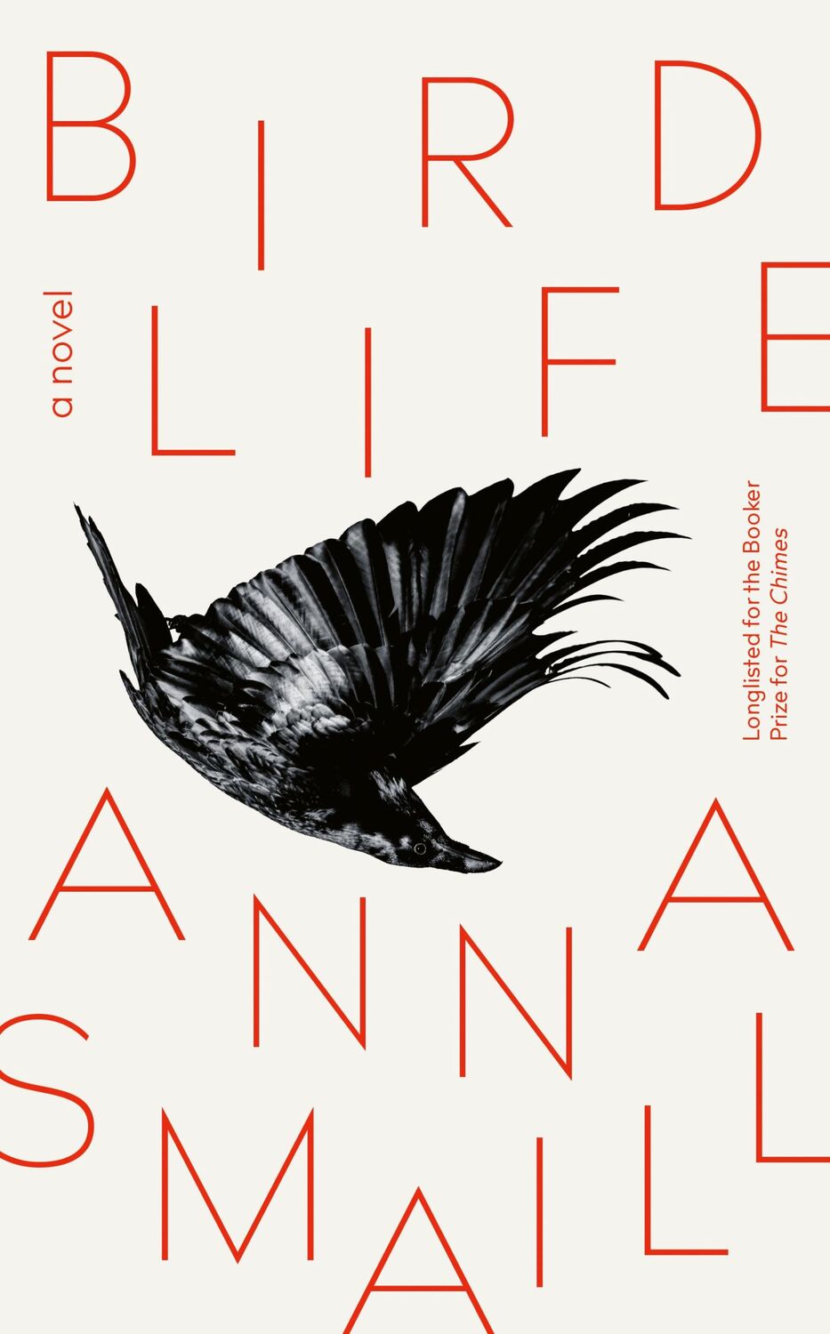 Cover: 9781915590039 | Bird Life | a novel | Anna Smaill | Buch | Gebunden | Englisch | 2023