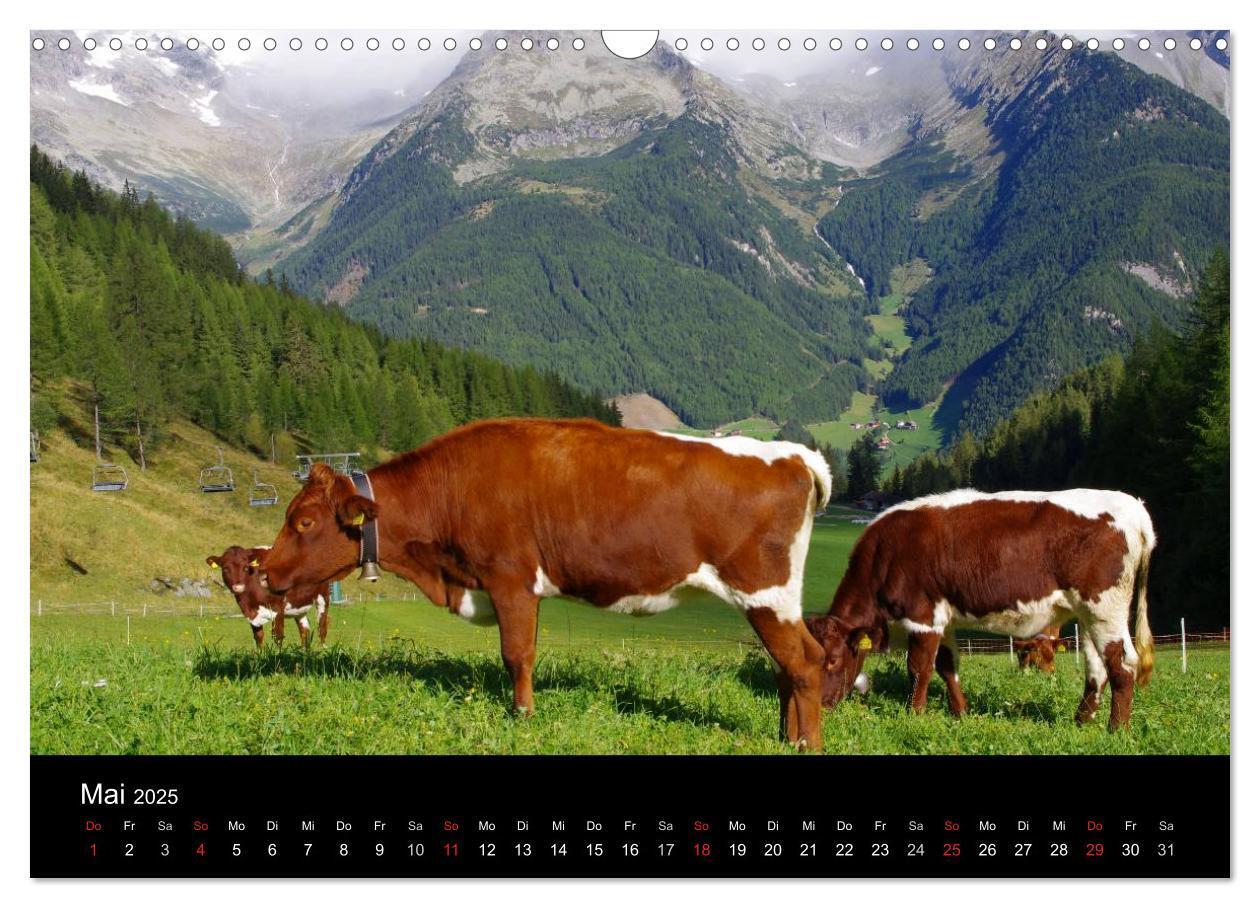 Bild: 9783435782369 | Südtirol 2025 (Wandkalender 2025 DIN A3 quer), CALVENDO Monatskalender