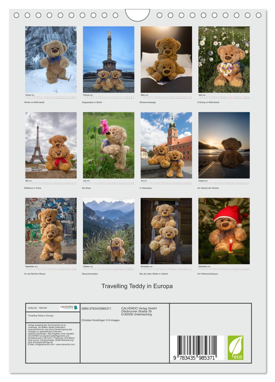 Bild: 9783435985371 | Travelling Teddy in Europa (Wandkalender 2025 DIN A4 hoch),...