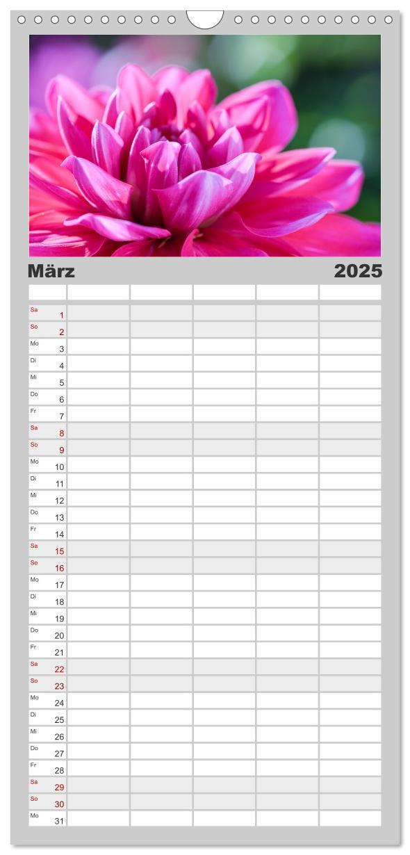 Bild: 9783457100066 | Familienplaner 2025 - Dahlien-Kronen mit 5 Spalten (Wandkalender,...