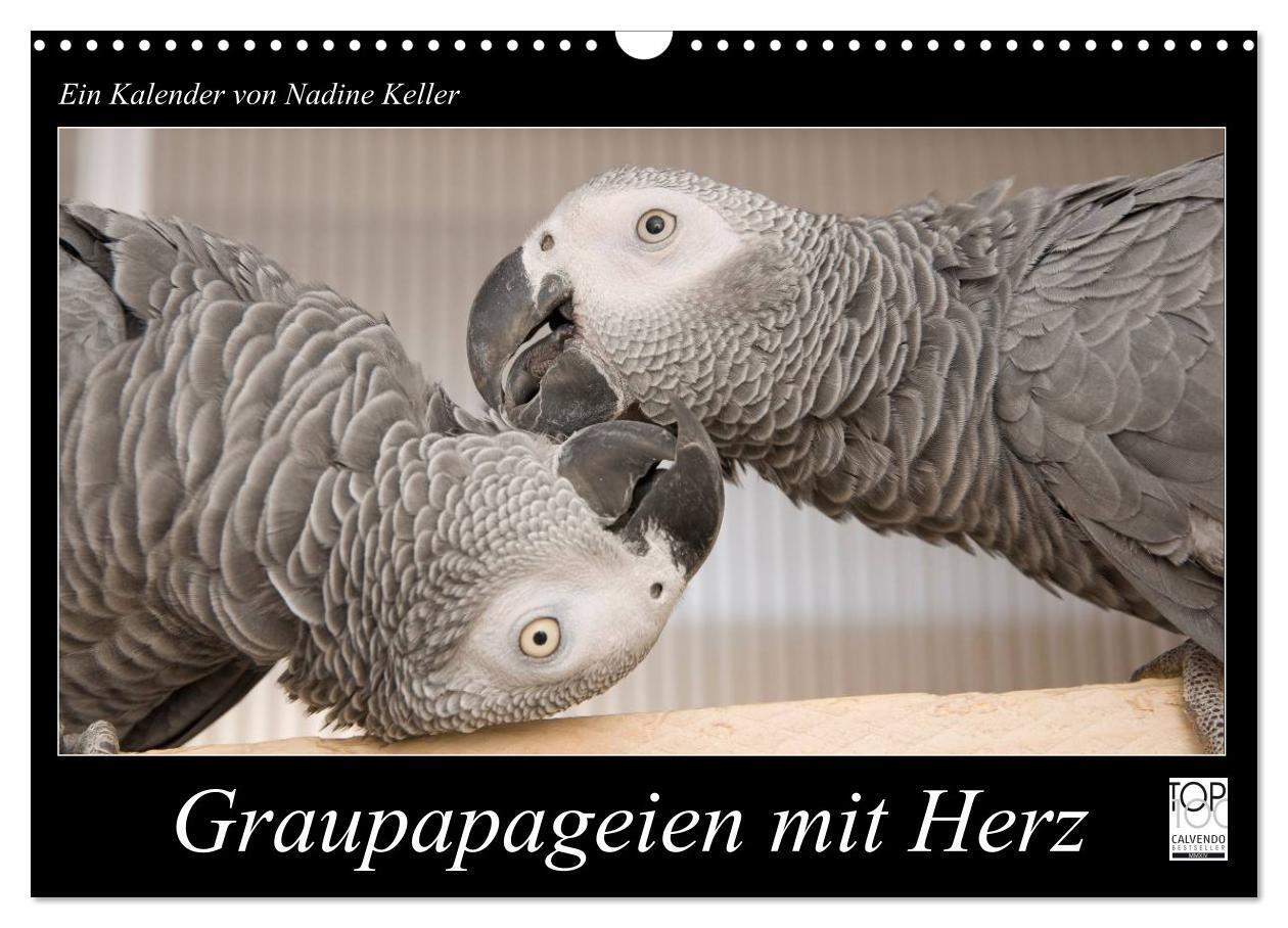 Cover: 9783435686995 | Graupapageien mit Herz (Wandkalender 2025 DIN A3 quer), CALVENDO...