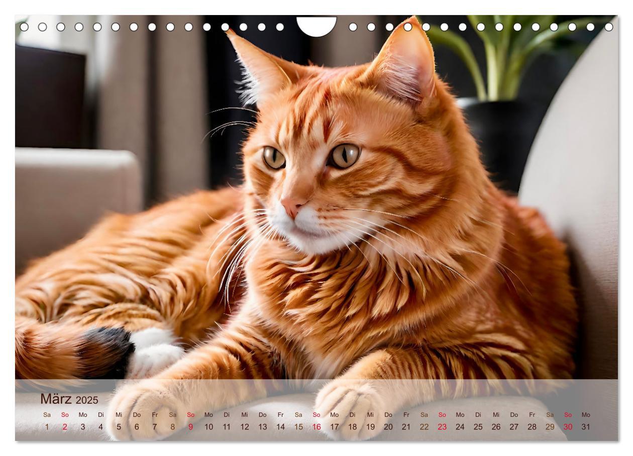 Bild: 9783383817830 | Rote Katzen (Wandkalender 2025 DIN A4 quer), CALVENDO Monatskalender