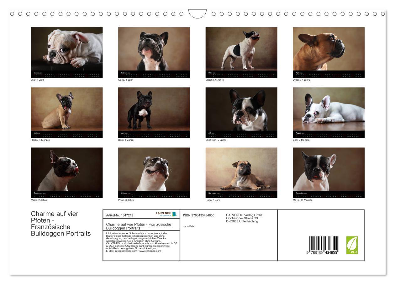 Bild: 9783435434855 | Charme auf vier Pfoten - Französische Bulldoggen Portraits...