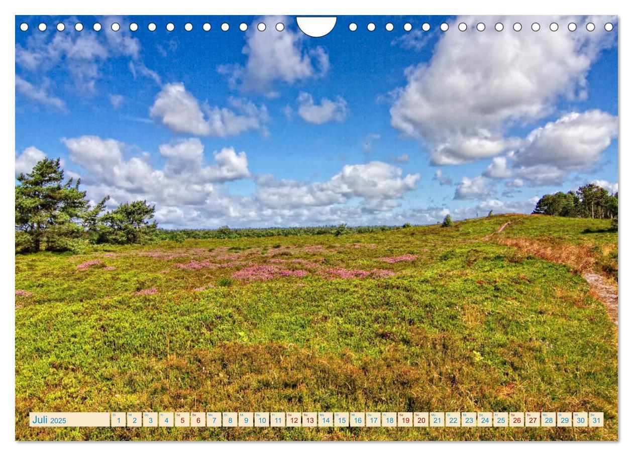 Bild: 9783435428762 | Cuxhaven, Landschaften zwischen Küste und Heide (Wandkalender 2025...