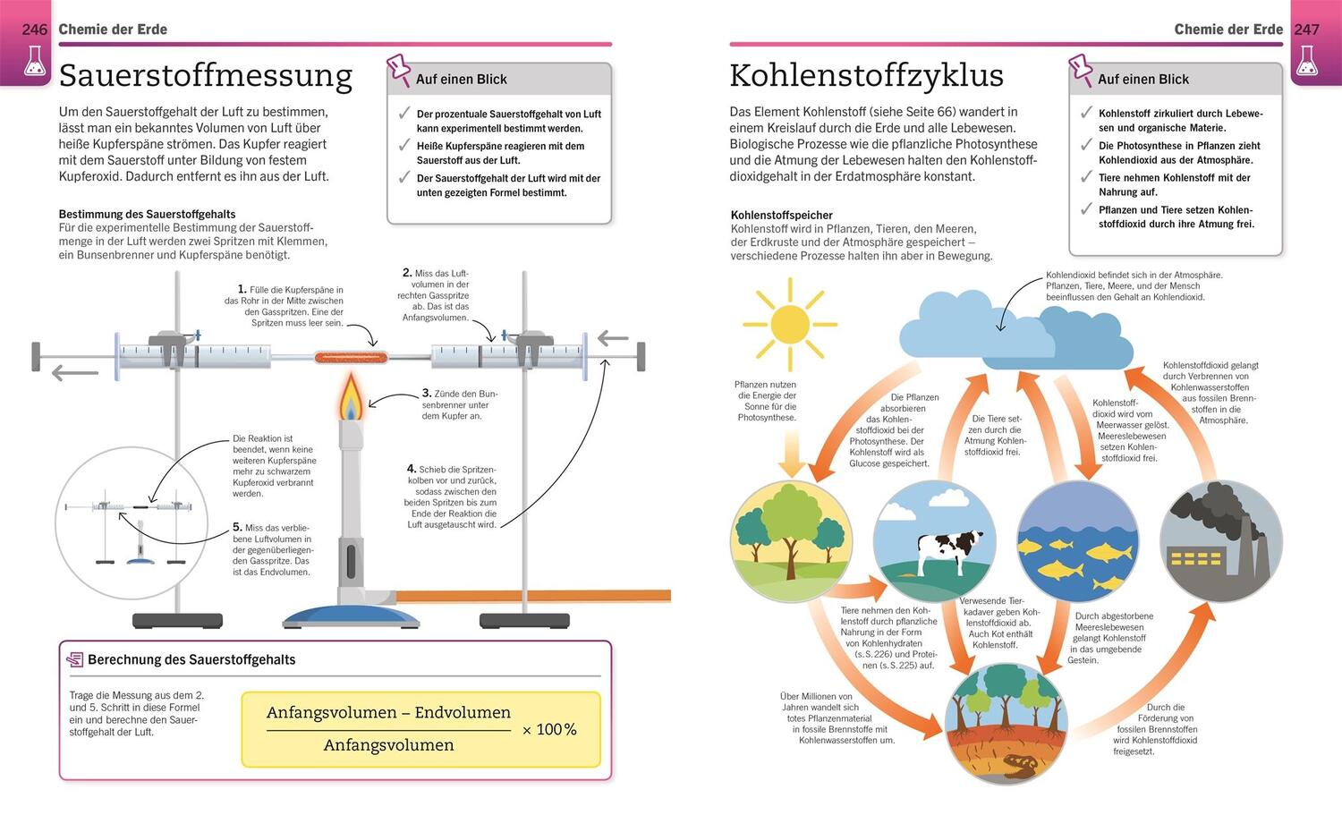 Bild: 9783831042890 | Visuelles Wissen. Chemie | Taschenbuch | Visuelles Wissen | 288 S.