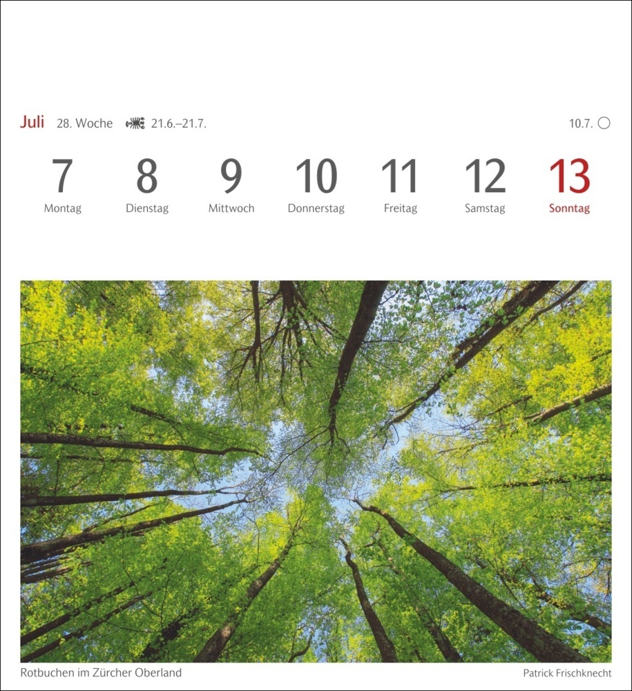 Bild: 9783840034268 | Farben der Natur Postkartenkalender 2025 - Wochenkalender mit 53...