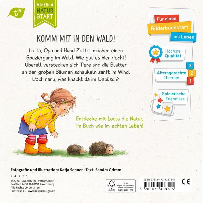 Bild: 9783473438785 | Lotta entdeckt die Welt: Im Wald | Sandra Grimm | Buch | Naturstart