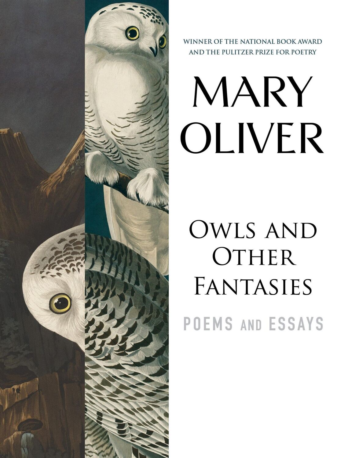 Cover: 9780807068755 | Owls and Other Fantasies | Poems and Essays | Mary Oliver | Buch