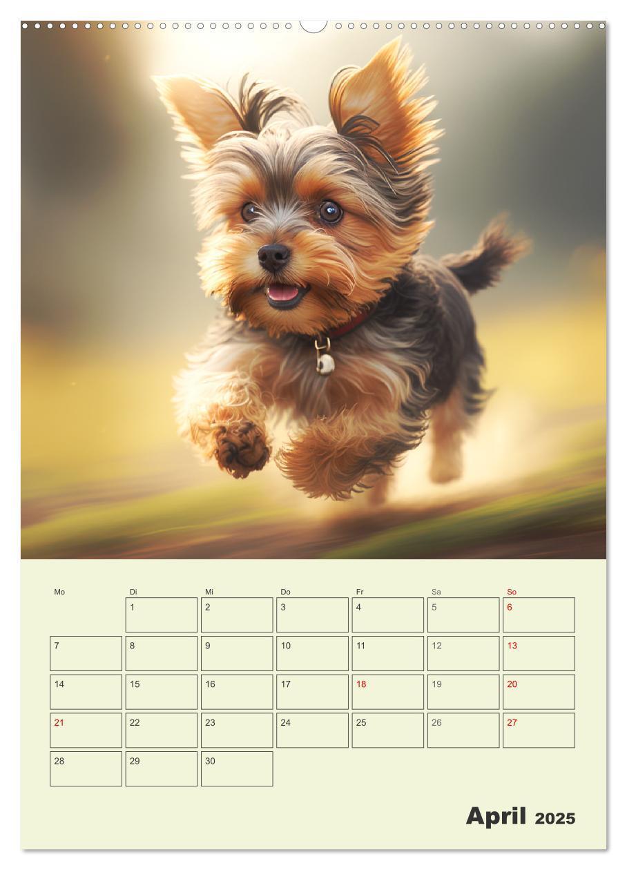 Bild: 9783435874200 | Yorkshire Terrier. Fröhliche Energiebündel in Aktion (Wandkalender...