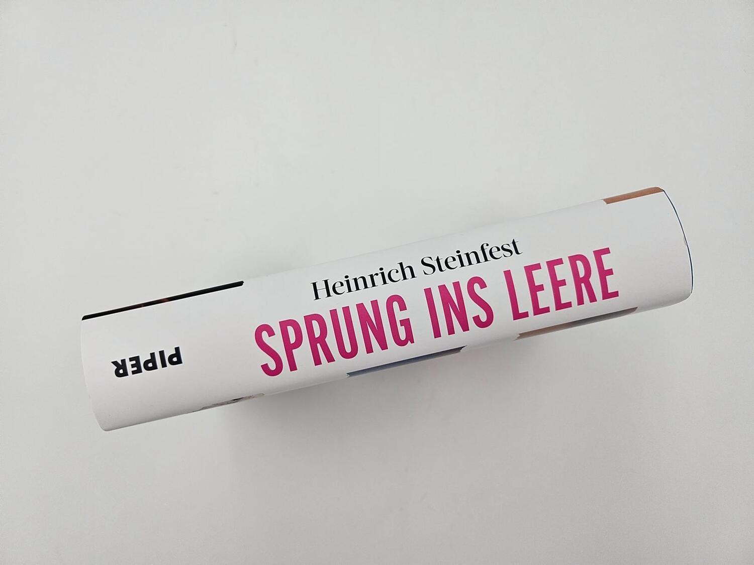 Bild: 9783492072151 | Sprung ins Leere | Heinrich Steinfest | Buch | 496 S. | Deutsch | 2024