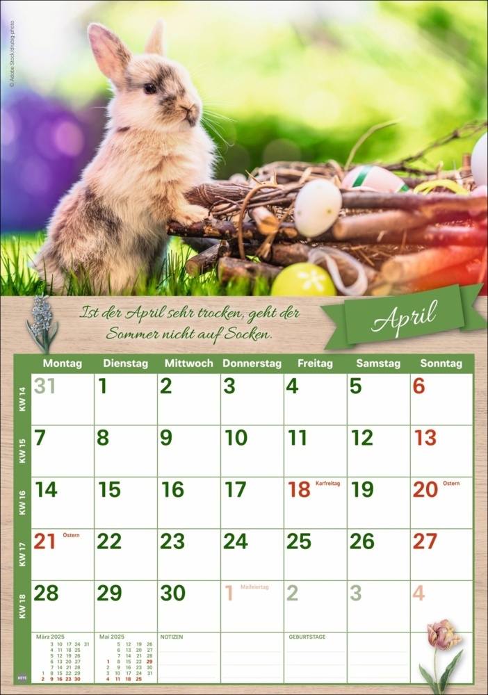 Bild: 9783756408726 | Rentnerkalender 2025 | Kalender | Spiralbindung | 25 S. | Deutsch