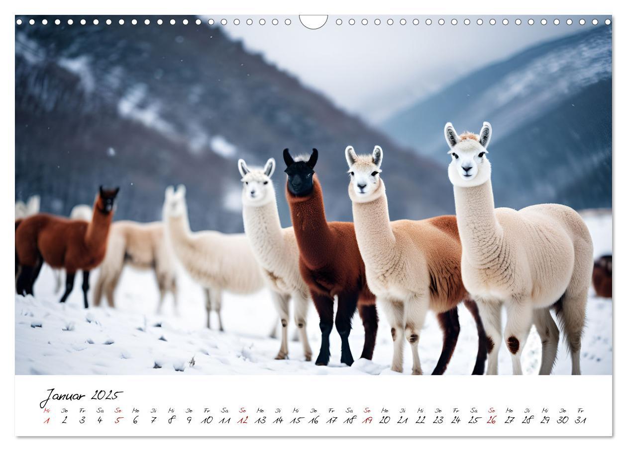 Bild: 9783457189399 | Alpakas, die sanften Andenbewohner (Wandkalender 2025 DIN A3 quer),...