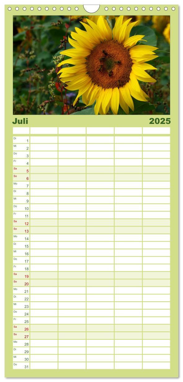 Bild: 9783457110928 | Familienplaner 2025 - Sonnenblumen mit 5 Spalten (Wandkalender, 21...