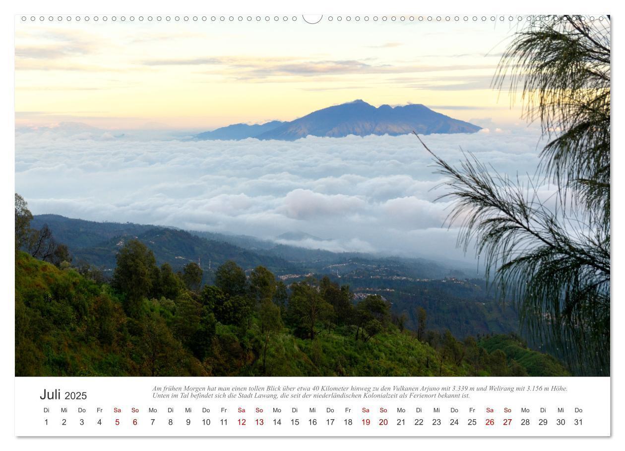 Bild: 9783435043163 | JAVA Natur pur (Wandkalender 2025 DIN A2 quer), CALVENDO...