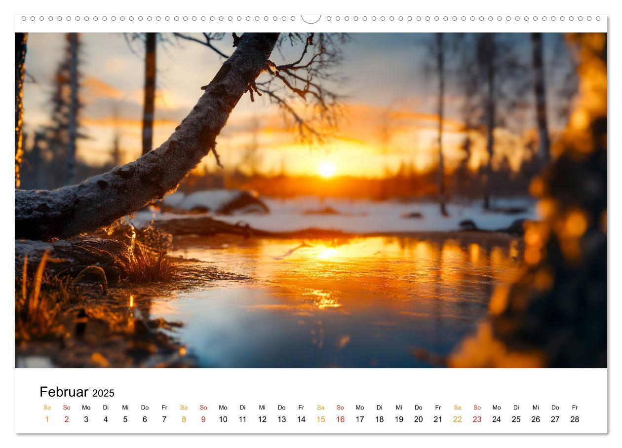 Bild: 9783457224793 | Mystik der Wälder (Wandkalender 2025 DIN A2 quer), CALVENDO...