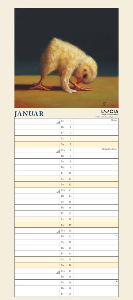 Bild: 4250809653921 | DUMONT - Yoga Chicks 2025 Familienkalender, 22x49,5cm, Planer mit...