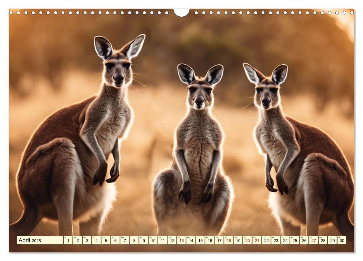 Bild: 9783435718689 | Australiens faszinierende Fauna (Wandkalender 2025 DIN A3 quer),...