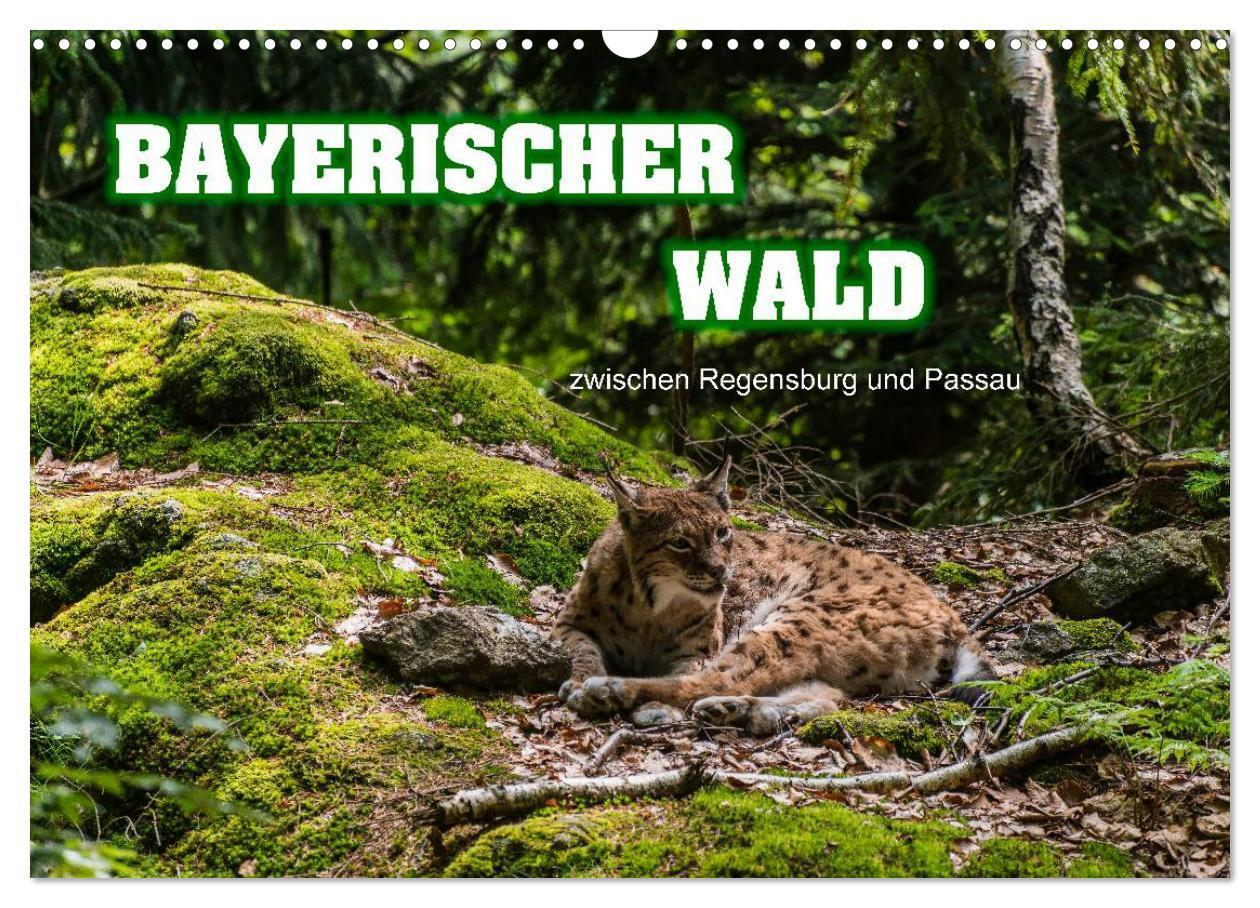 Cover: 9783435722655 | Bayerischer Wald (Wandkalender 2025 DIN A3 quer), CALVENDO...