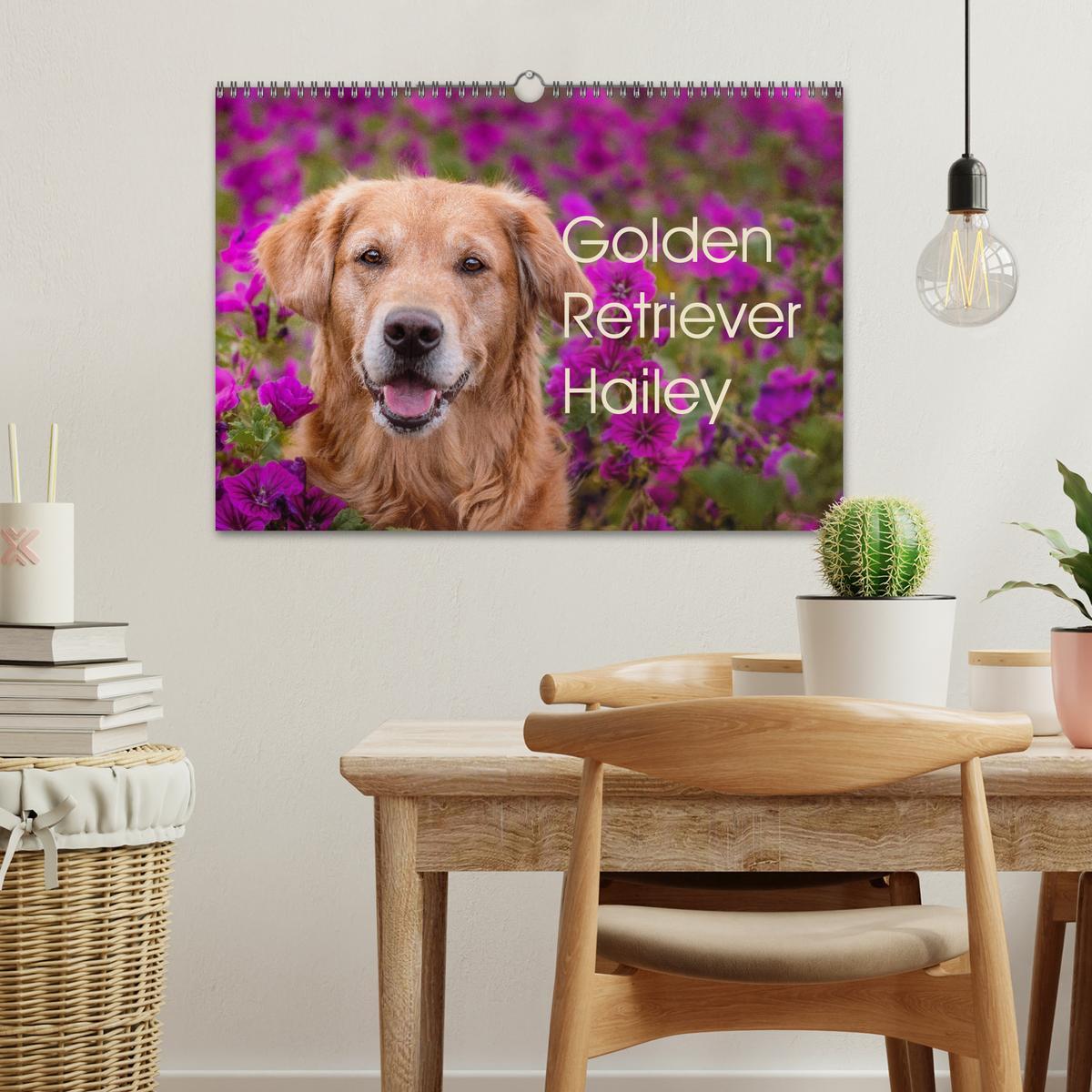 Bild: 9783435178087 | Golden Retriever Hailey Fotokalender (Wandkalender 2025 DIN A3...