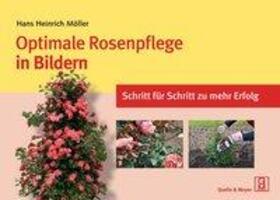 Cover: 9783494016504 | Optimale Rosenpflege in Bildern | Schritt für Schritt zu mehr Erfolg