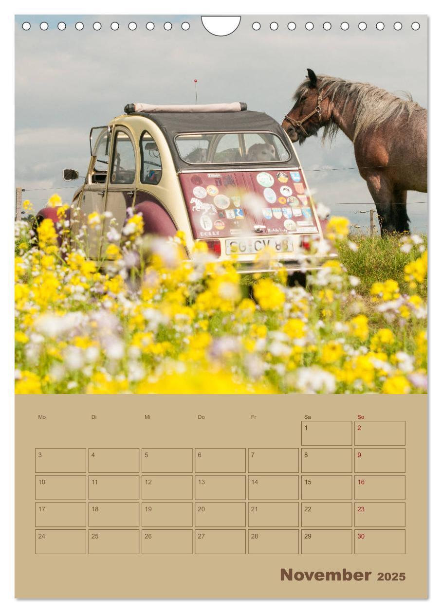 Bild: 9783435955664 | Citroën 2 CV ¿ Flower Power (Wandkalender 2025 DIN A4 hoch),...