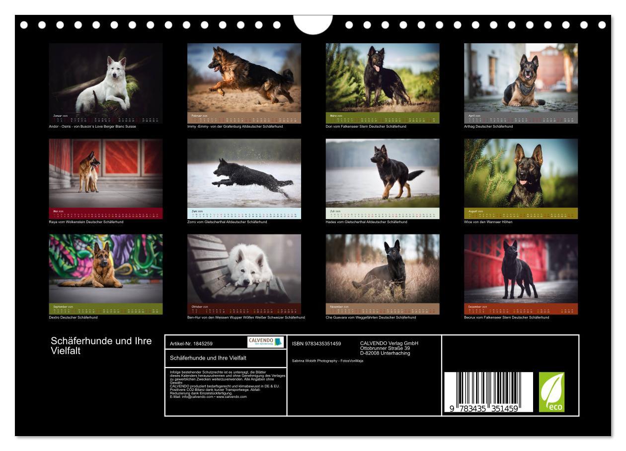 Bild: 9783435351459 | Schäferhunde und Ihre Vielfalt (Wandkalender 2025 DIN A4 quer),...